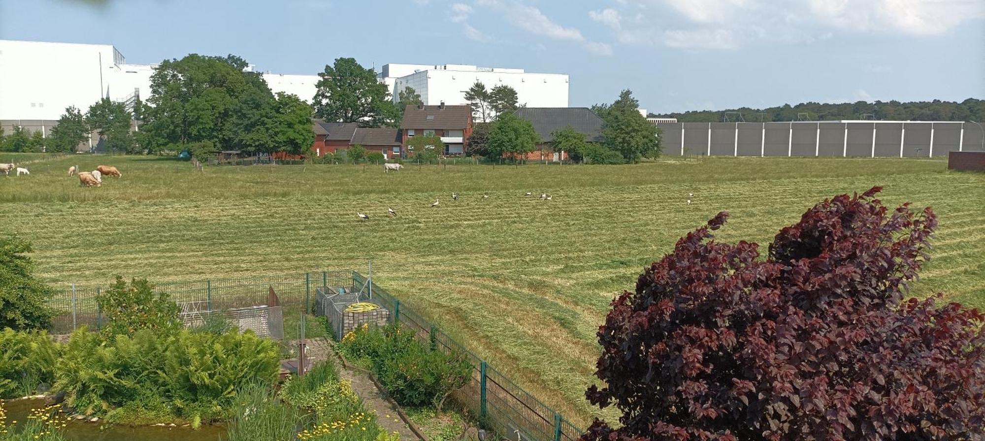 Willy Und Gudrun Apartman Rheda-Wiedenbrück Kültér fotó